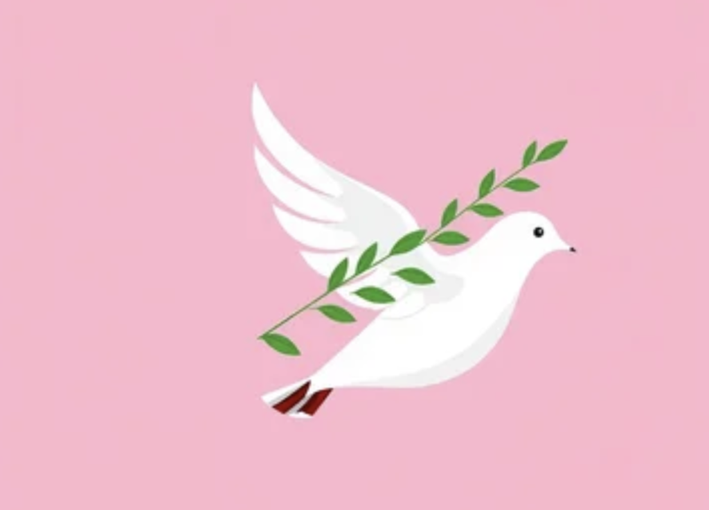 White dove in flight carrying an olive branch against a pink background, symbolizing peace.